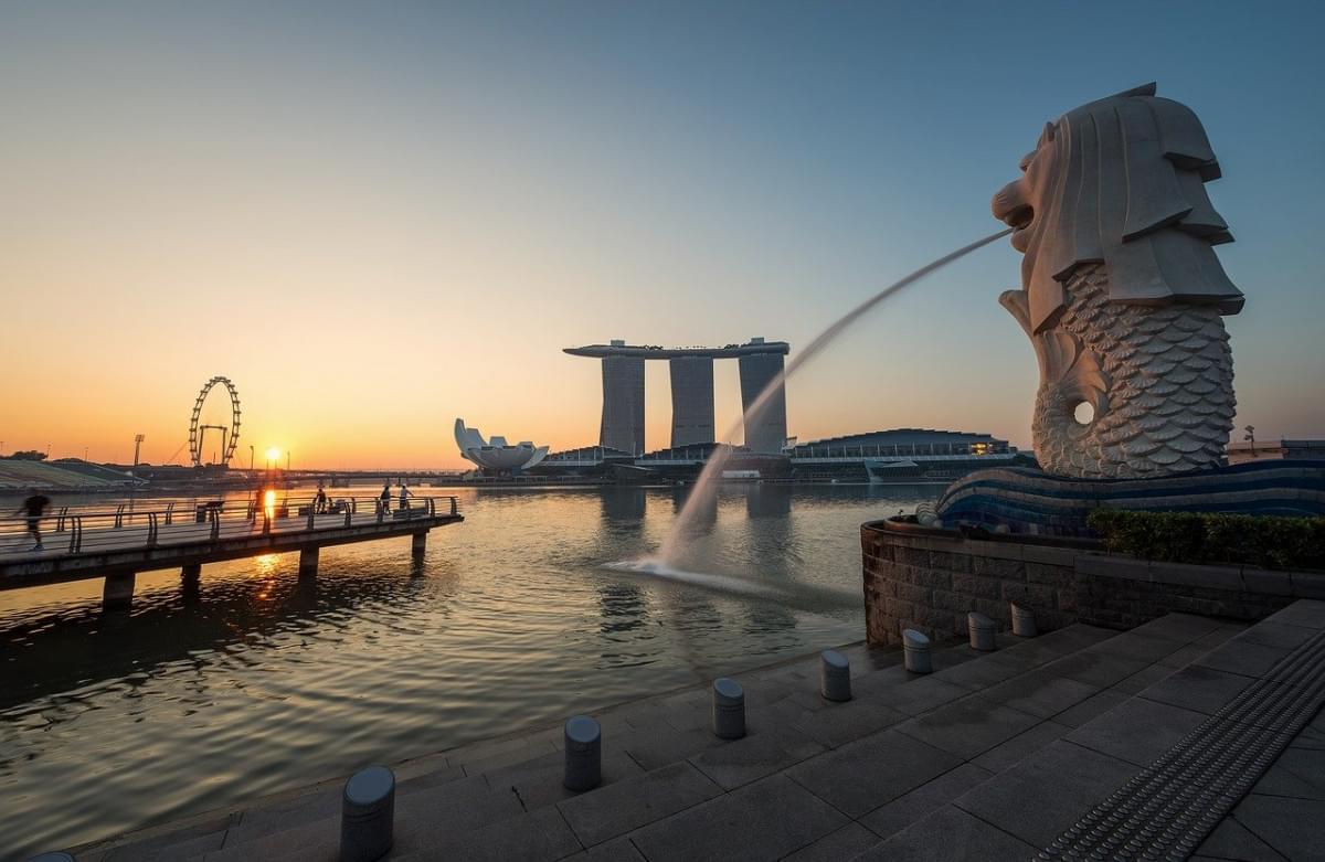 sea lion singapore border line