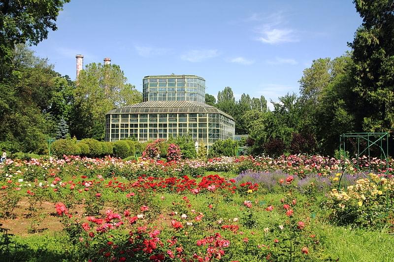 botanical garden bucharest