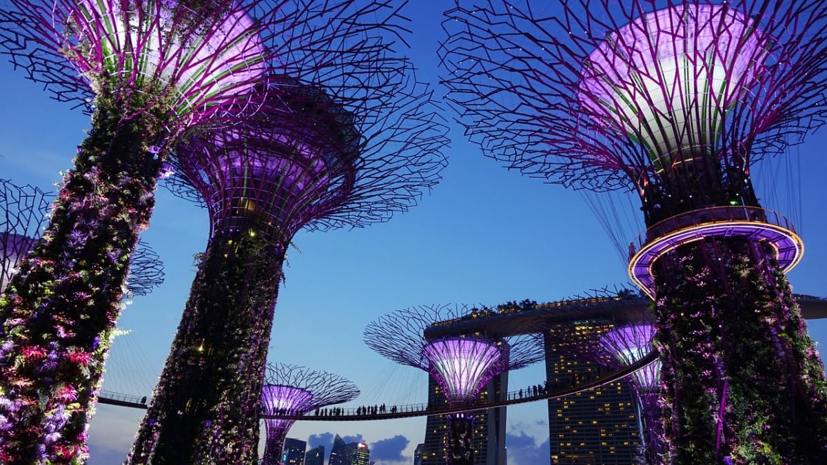 Gardens by the bay singapore